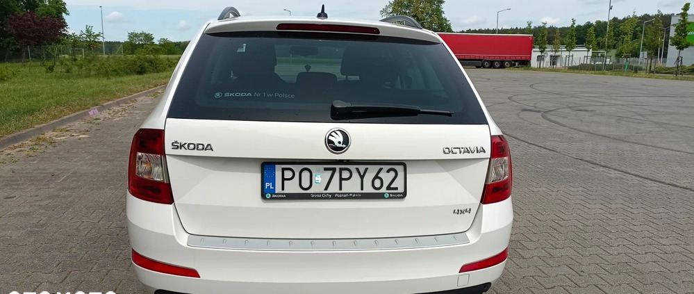 Skoda Octavia cena 44000 przebieg: 252000, rok produkcji 2015 z Trzciel małe 56